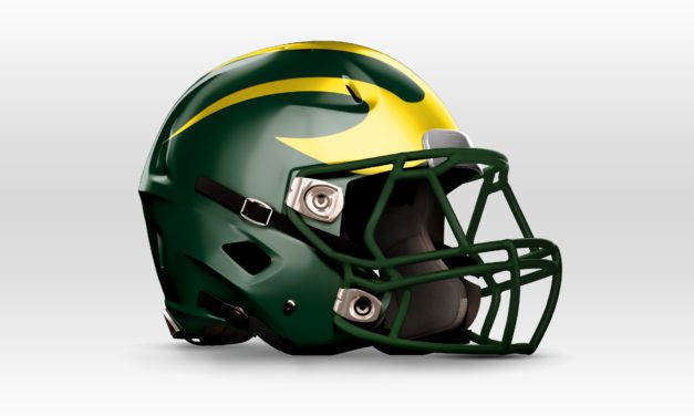 Hillsboro Burros Helmet