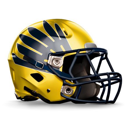 Tennessee High School Football Helmets - D1 HIGHLIGHTS