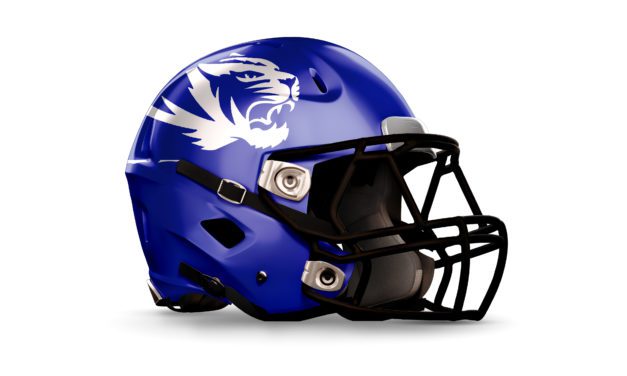 Waverly Central Tigers Helmet