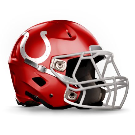 Tennessee High School Football Helmets - D1 HIGHLIGHTS