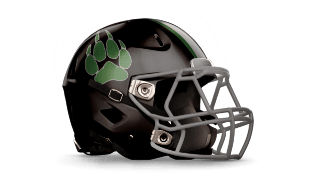 Cordova Wolves Helmet